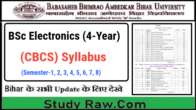 BRABU BSc Electronics New Syllabus CBCS Semester-1, 2, 3, 4, 5, 6, 7, 8