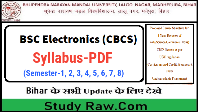 BNMU 4 Year BSC Electronics Syllabus PDF