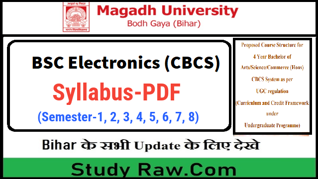 Magadh University 4 Year BSC Electronics Syllabus PDF