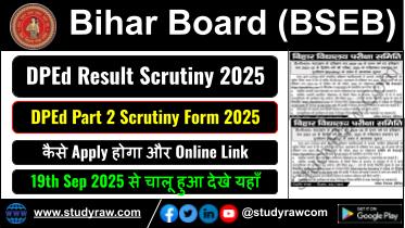 Bihar DPEd Exam Results Scrutiny Form 2025 Apply Online